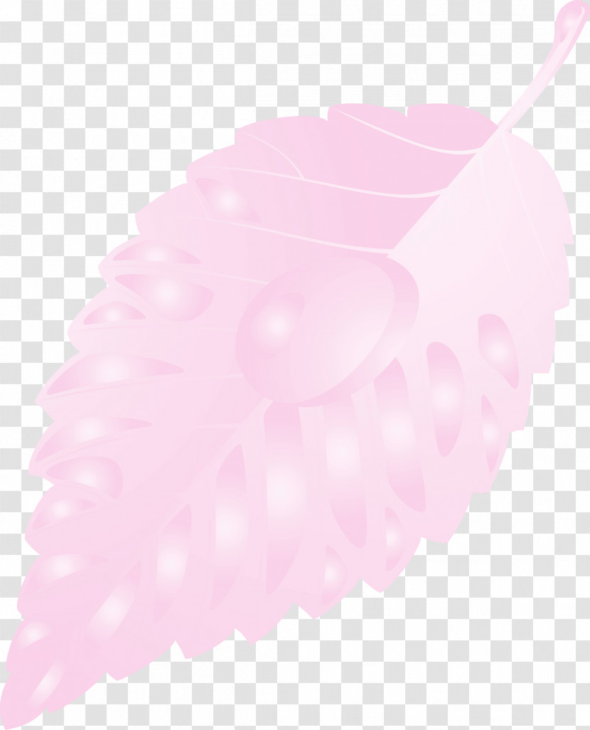 Pink Transparent PNG