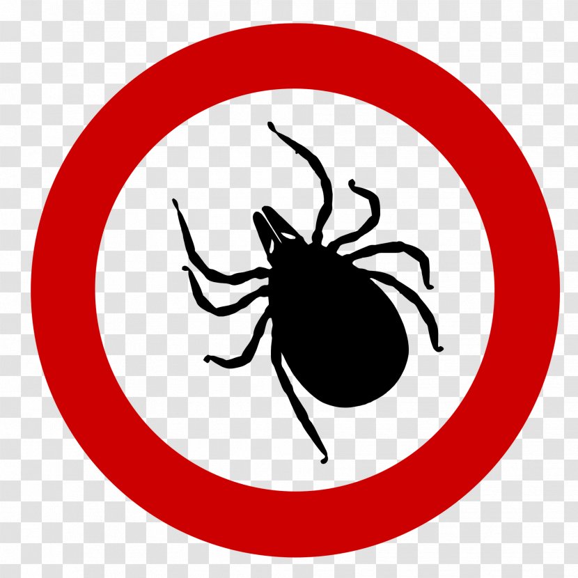 Deer Tick Ixodes Ricinus Tick-borne Disease Lyme - Membrane Winged Insect - Red Circle Spider Transparent PNG