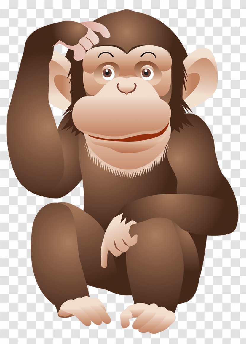 Ape Chimpanzee Monkey Clip Art - Snout - Image Transparent PNG