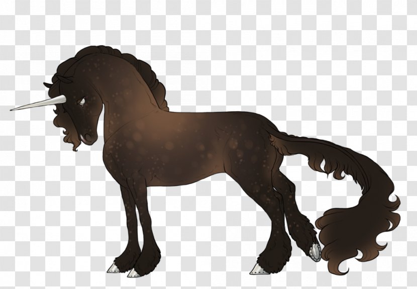 Mane Mustang Appaloosa Stallion Andalusian Horse Transparent PNG
