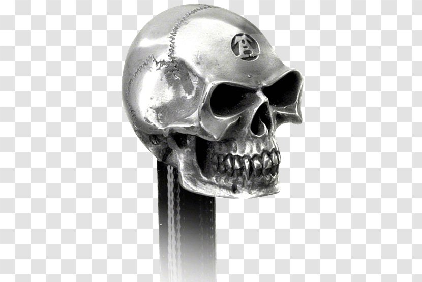 Skull Car Gear Stick Skeleton Alchemy - Enlightenment Toys Transparent PNG