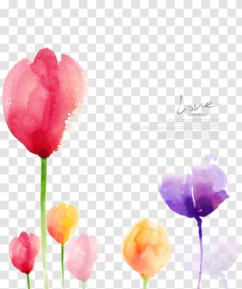Watercolor Painting Flowers Creative Window Blinds & Shades - Tulip Transparent PNG