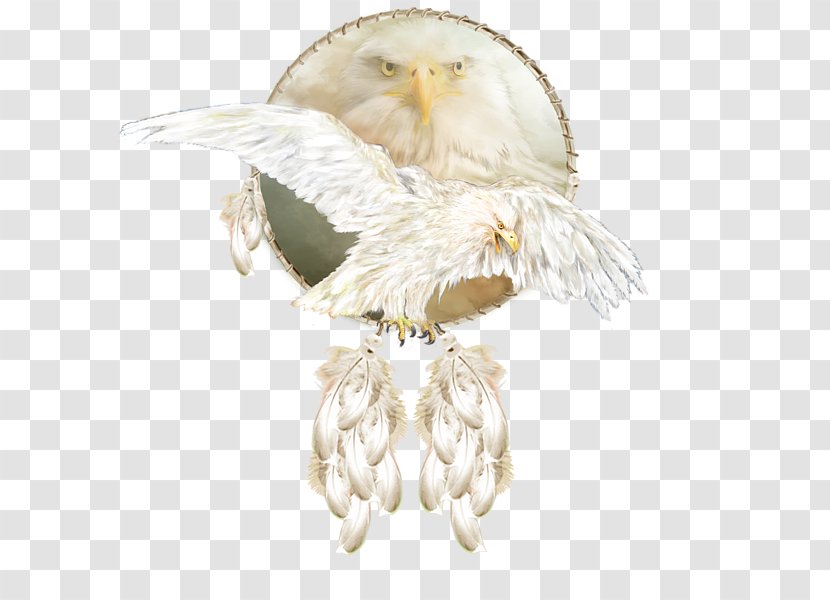 Owl Bird Feather Beak Imitation Gemstones & Rhinestones - Eagle - White Transparent PNG