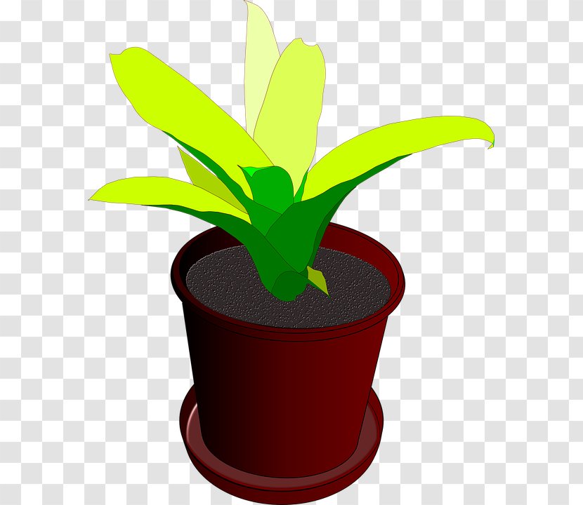 Houseplant Flowerpot Clip Art - Tree - Plant Transparent PNG