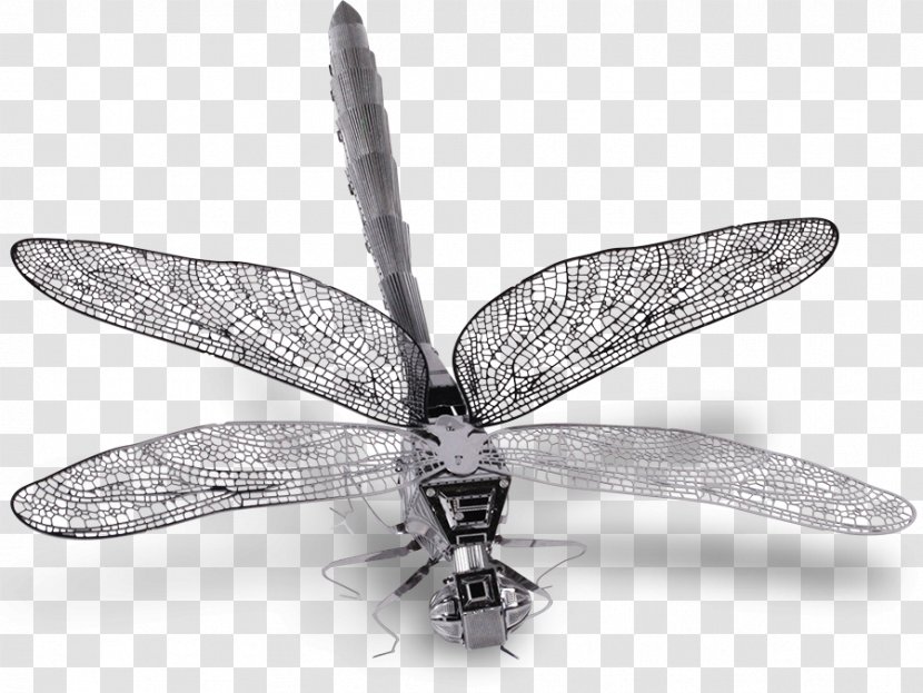 Insect Wing Alkaline Earth Metal Dragonfly - Dragon Fly Transparent PNG