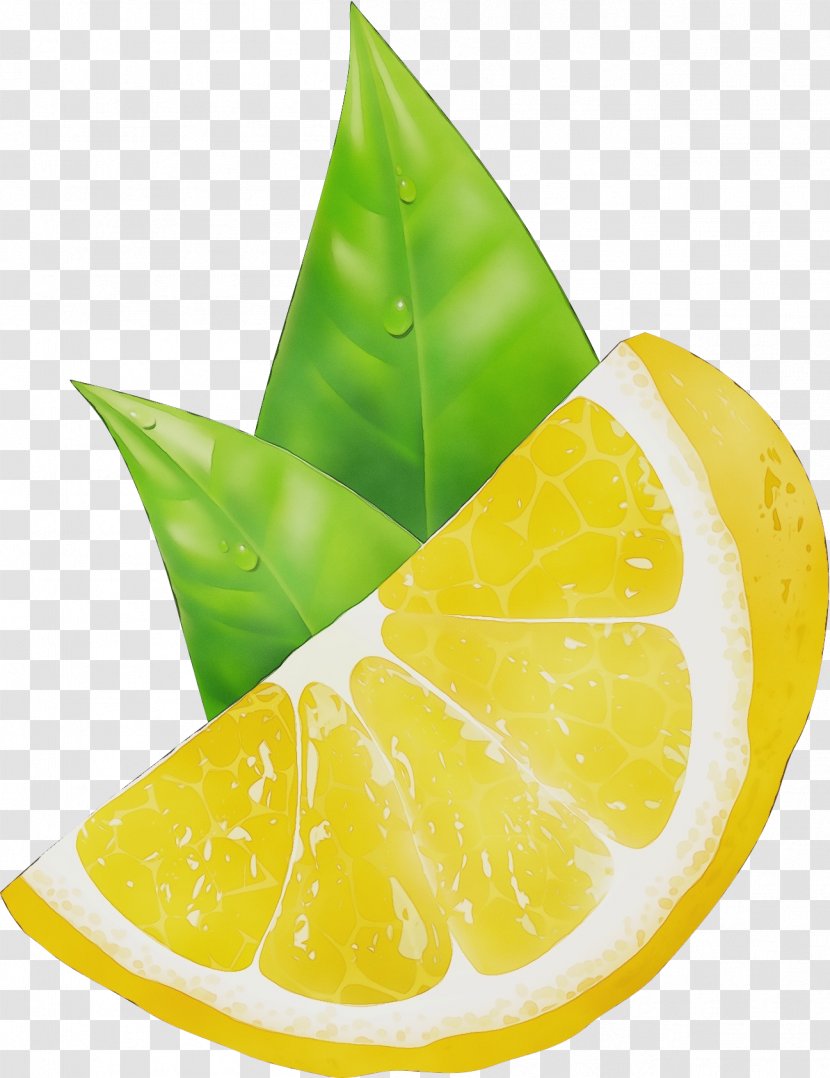 Citrus Lime Key Leaf Yellow - Plant Fruit Transparent PNG
