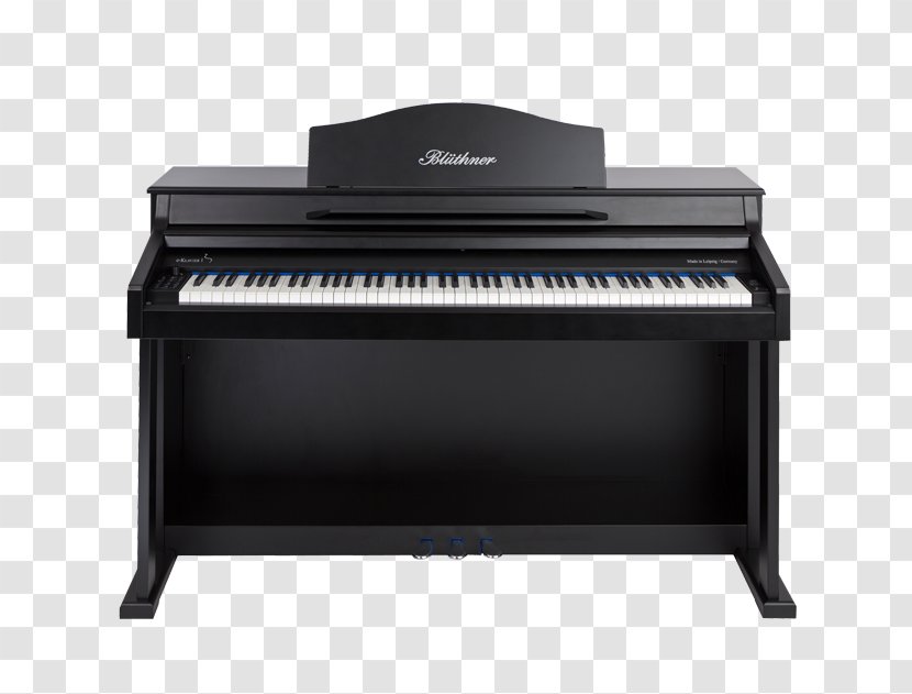 Digital Piano Electric Pianet Player Musical Keyboard - Frame - Tuning Transparent PNG
