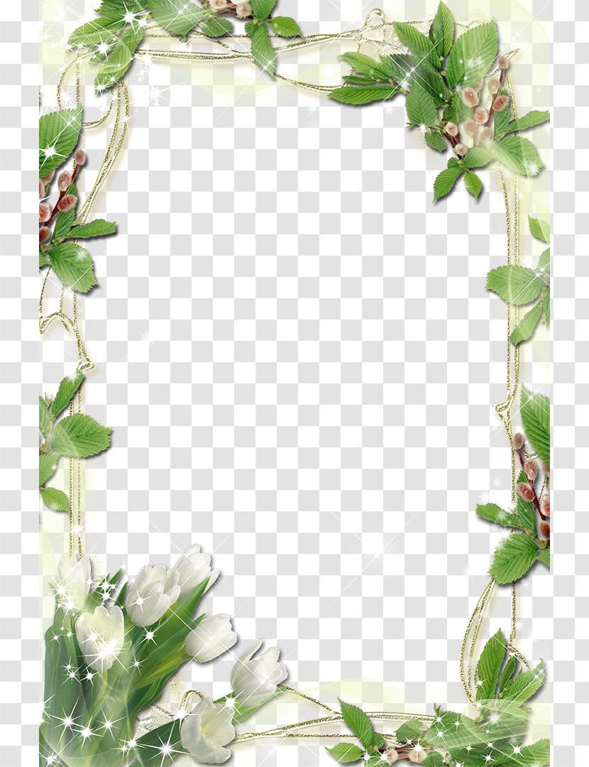 International Womens Day Mothers - Raster Graphics - Plant Transparent PNG