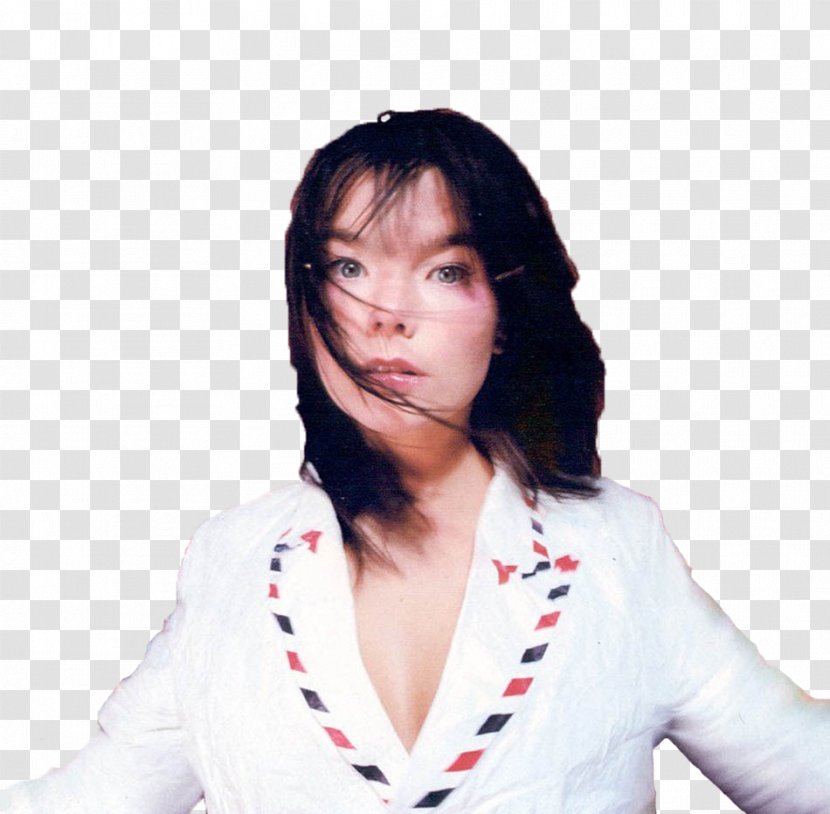 Björk Post Homogenic Debut Album - Frame - Bjork Transparent PNG