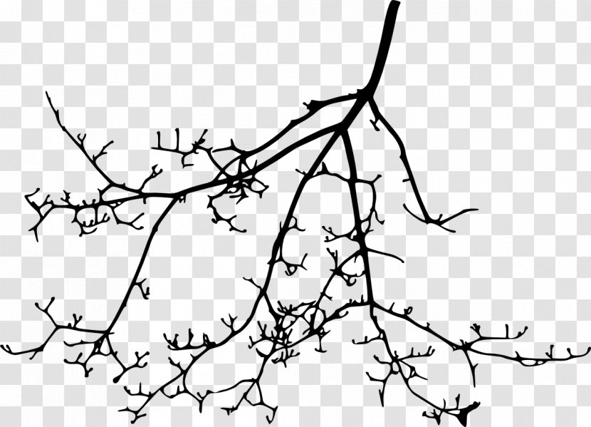 Twig Branch Plant Stem Clip Art - Tree - Branches Silouhette Transparent PNG