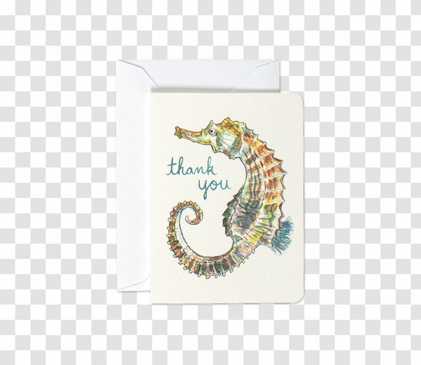Greeting & Note Cards Seahorse Birthday Wish - Thank You Card Transparent PNG