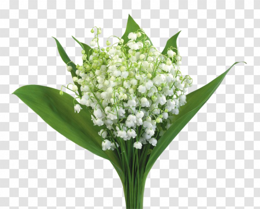 Flower Bouquet Birthday Lily Of The Valley Gift - Cut Flowers Transparent PNG