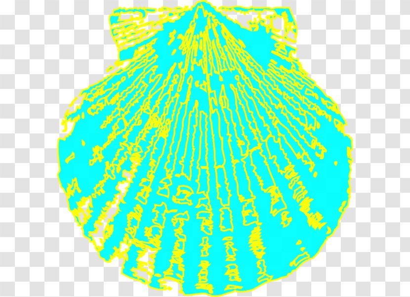 Seashell Clip Art - Organism Transparent PNG