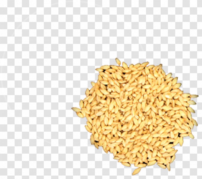 Brown Rice Proso Millet Stock Photography Foxtail - Malted Barley The Providence Transparent PNG