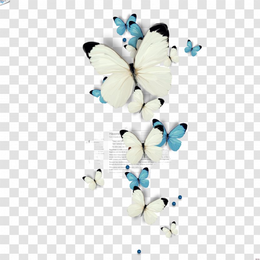 Clip Art Image Drawing Butterfly Transparent PNG
