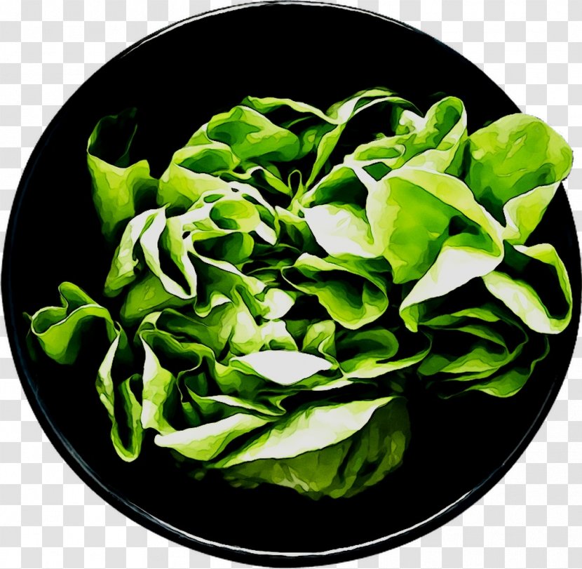 Spinach Spring Greens - Plant - Food Transparent PNG
