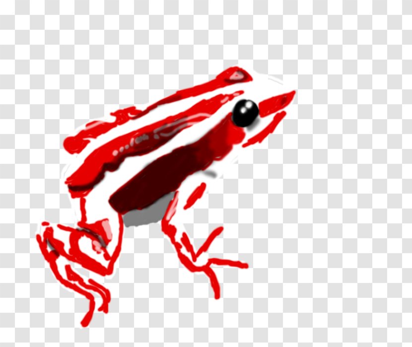 Amphibians Clip Art Illustration Blood Line - Wing - Poison Dart Transparent PNG
