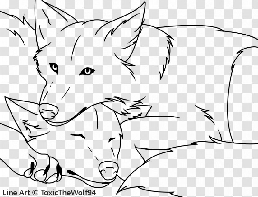 Red Fox Line Art Dog Snout - Head Transparent PNG