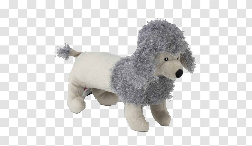 Standard Poodle Miniature Puppy Canis Panther - Dog Transparent PNG