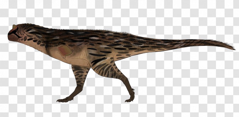 Carnotaurus Tyrannosaurus Allosaurus Velociraptor Utahraptor - Sinosauropteryx - Dinosaur Transparent PNG