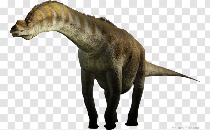 Giraffatitan Brachiosaurus Argentinosaurus Sauroposeidon Seismosaurus - Brachiosauridae - Animals Dinosaur Transparent PNG