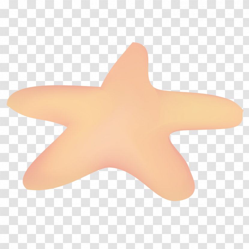 Starfish Euclidean Vector - Fine Transparent PNG