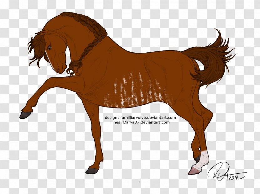 Foal Pony Mustang Mare Stallion - Neck - Fang Sculpture In Africa Transparent PNG