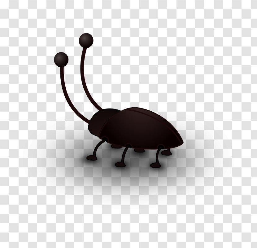 Clip Art Cockroach Beetle Openclipart Antenna - Ladybird Transparent PNG