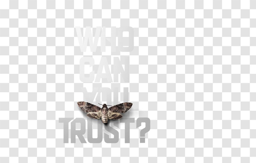 Butterfly Lake Bodom Murders Moth Art Transparent PNG