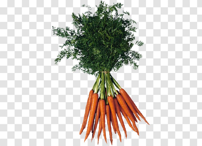 Baby Carrot - Local Food Transparent PNG