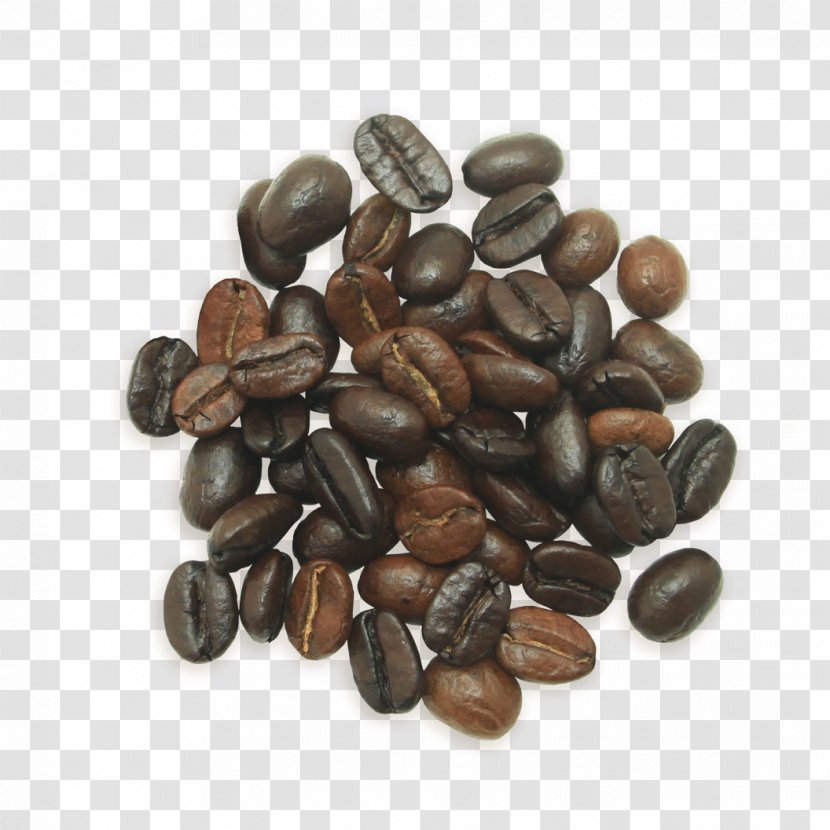 Jamaican Blue Mountain Coffee Bean Single-origin Irgachefe - Seed - Nuts Transparent PNG