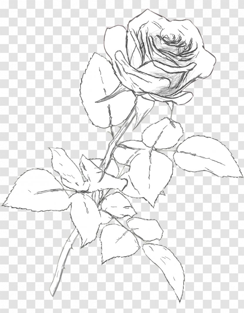 Drawing Visual Arts Black And White - Flora Transparent PNG