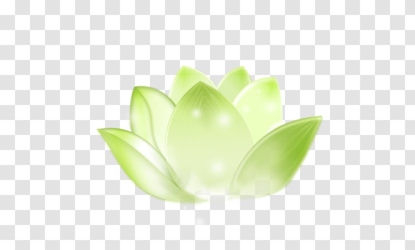 Yellow Image Sacred Lotus Designer - Transparent Green Leaf Transparent PNG