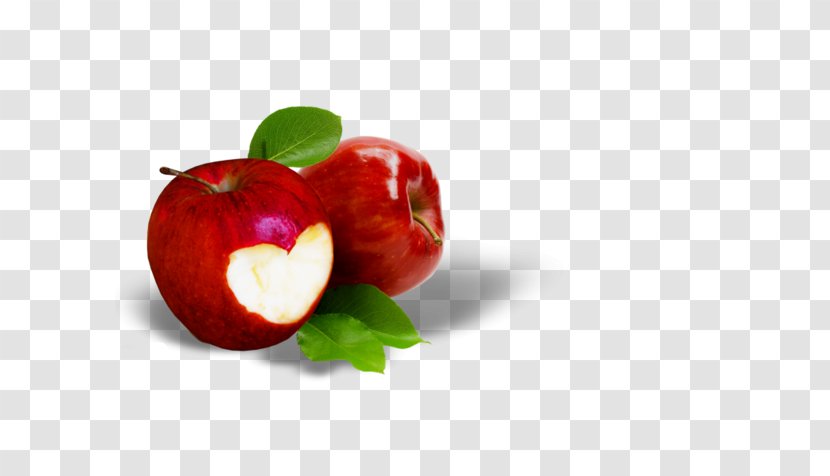 Apple Fruit Icon - Superfood - Engraving Love Transparent PNG