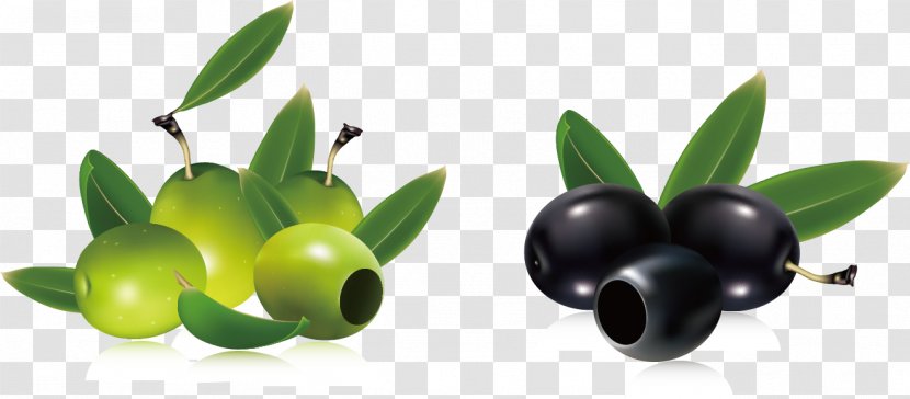 Olive Branch Clip Art - Food - Olives Transparent PNG