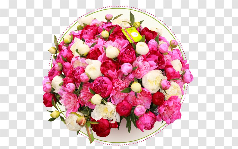 Garden Roses Shymkent Pavlodar Flower Bouquet Taraz Transparent PNG