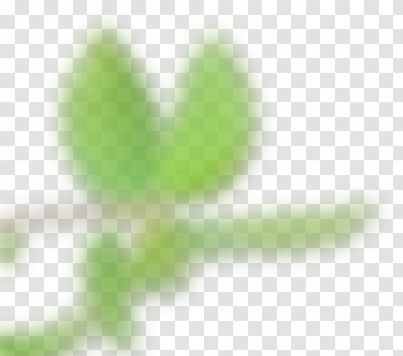 Leaf Desktop Wallpaper Close-up Plant Stem - Closeup Transparent PNG