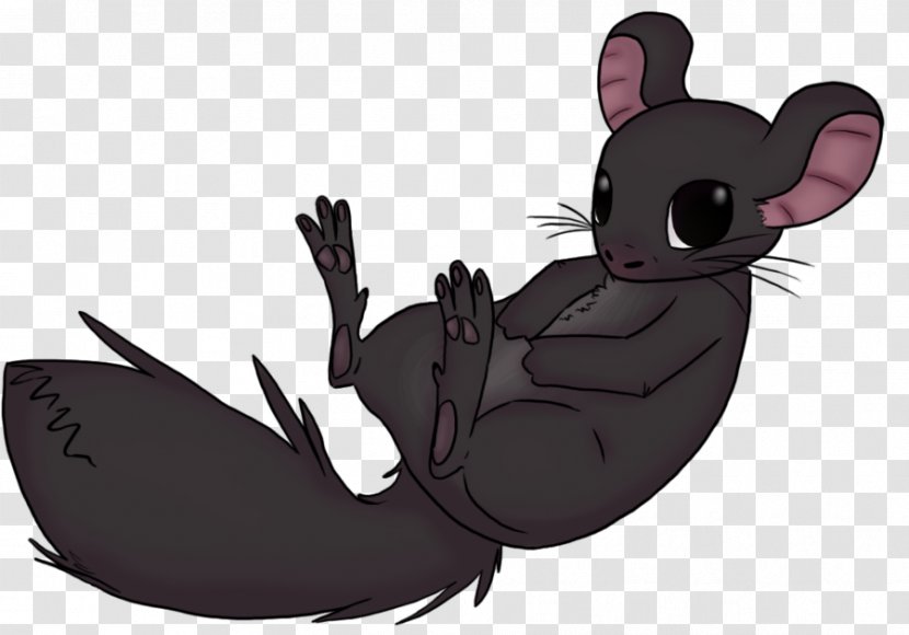 Rabbit Chinchillafell Cartoon Drawing - Chinchilla Transparent PNG