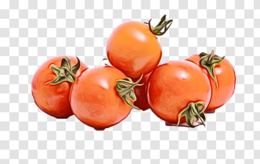 Tomato Cartoon - Solanum - Vegetarian Food Superfood Transparent PNG