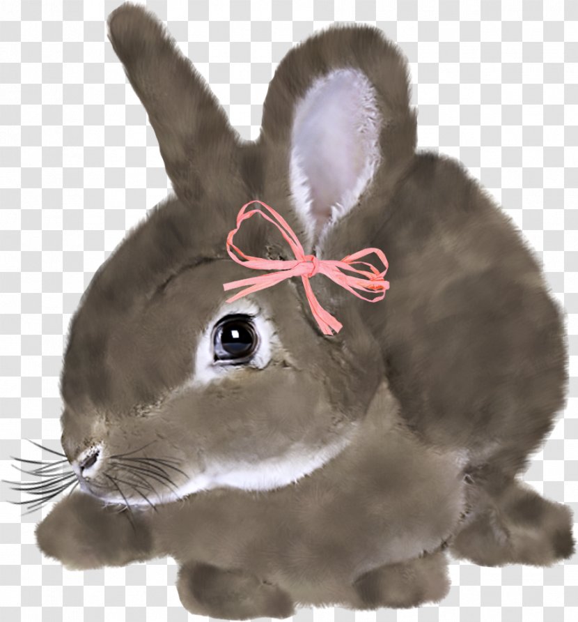 Easter Bunny Rabbit Hare - Symbol - Lovely US Transparent PNG