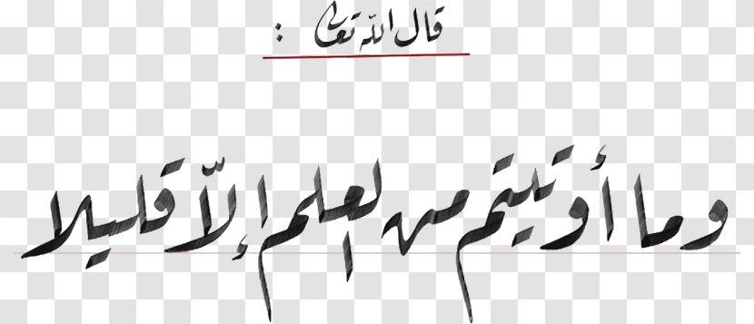 Islamic Calligraphy Ruqʿah Script خط سیاق Diwani - Art - Black Transparent PNG