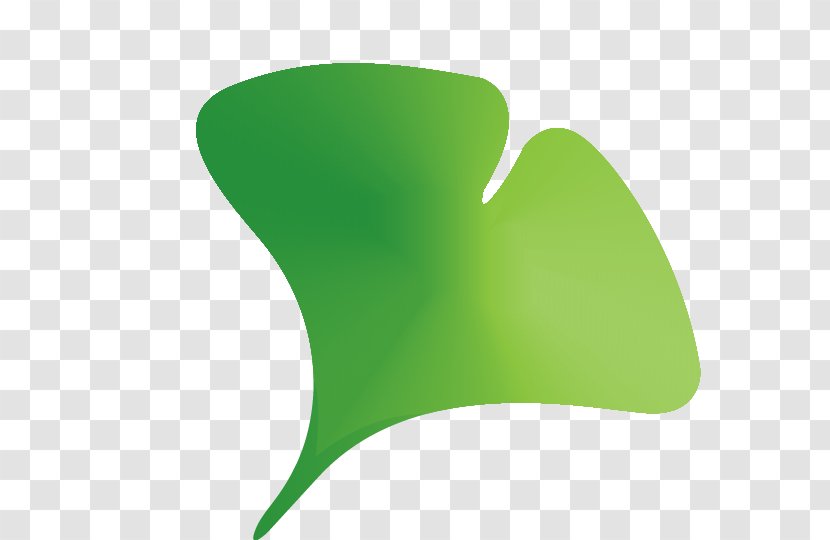 Maidenhair Tree Product Clip Art Logo - Blog - Grass Transparent PNG