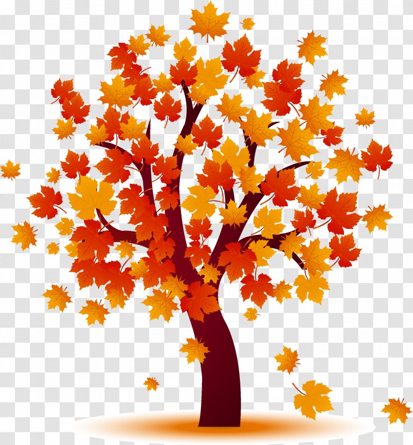 Autumn Tree Clip Art - Woody Plant - Maple Transparent PNG