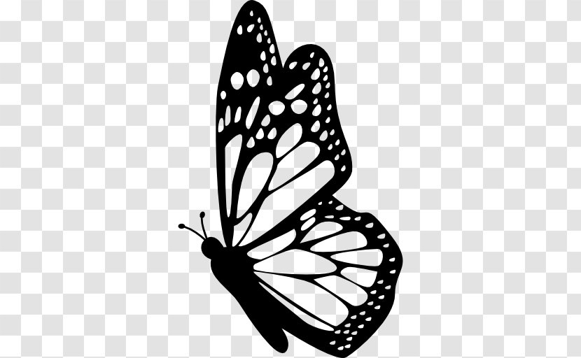 Butterfly Insect Papillon Dog Clip Art - Monarch - Side Vector Transparent PNG