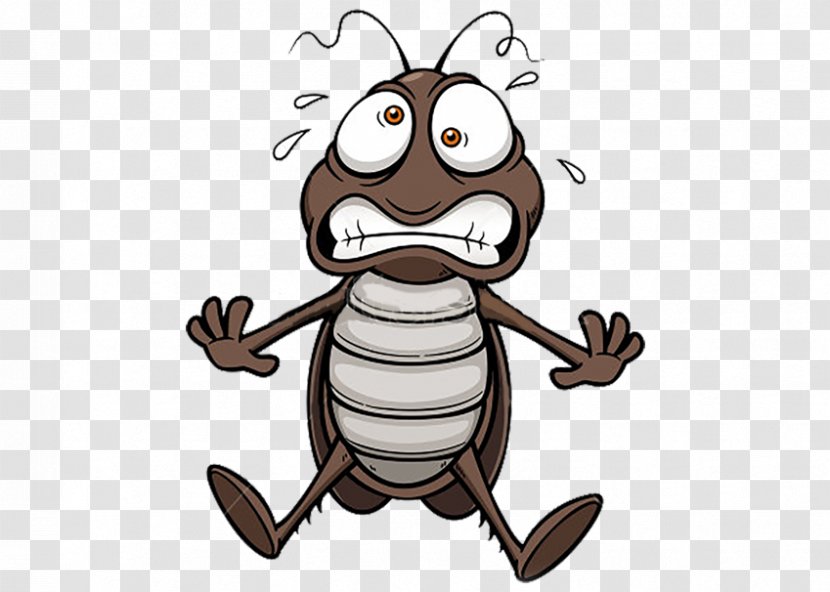 German Cockroach Drawing Transparent PNG
