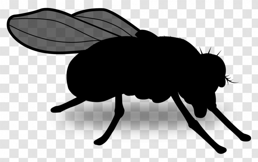 Beetle Clip Art Silhouette Pollinator Insect - Membranewinged - Fly Transparent PNG