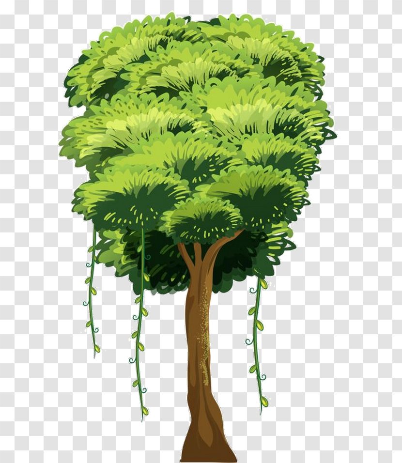 Tree Drawing - Shrub Transparent PNG