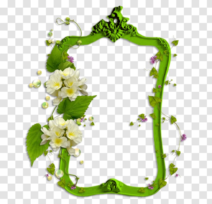 Picture Frame Photography Image Hosting Service - Photomontage - Green Transparent PNG