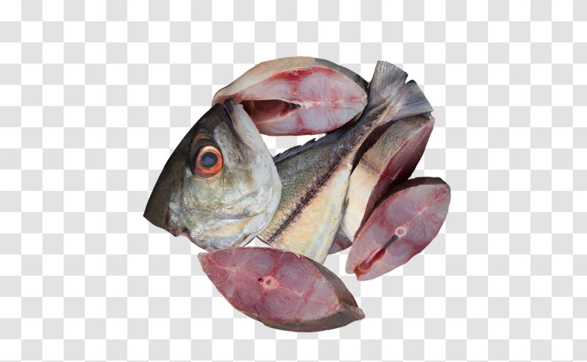 Cod Fish Products Mackerel Oily Transparent PNG