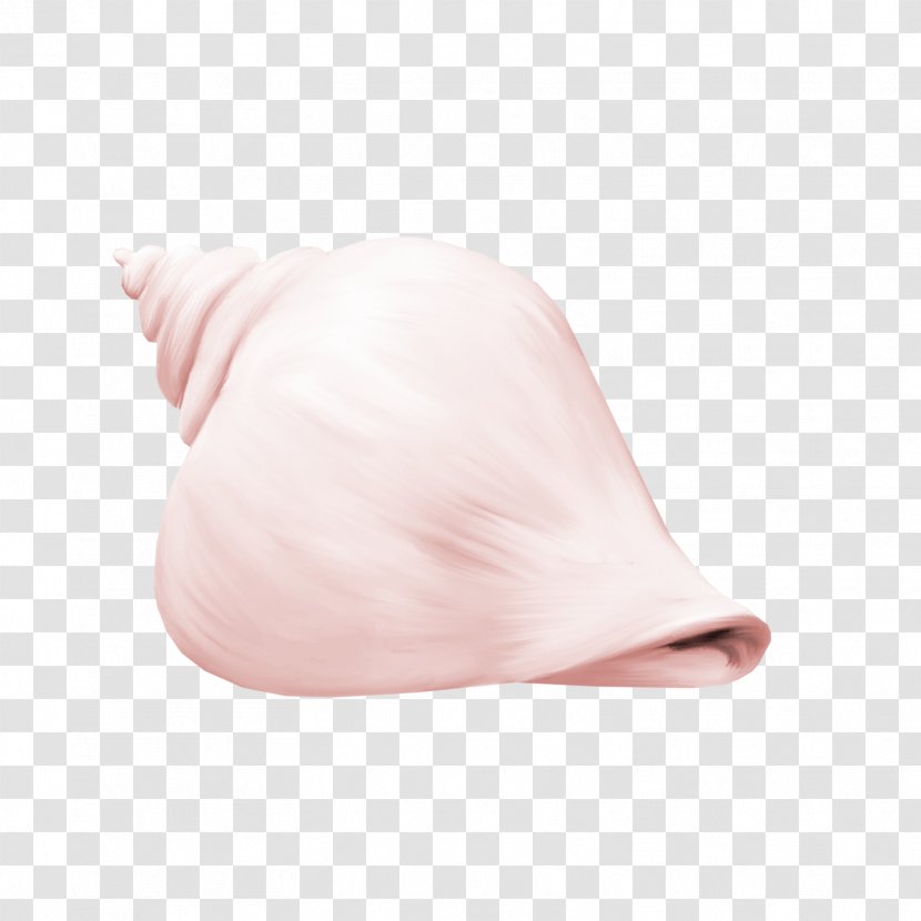 Sea Snail Seabed Conch - Pink Transparent PNG